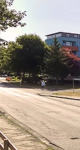 Eine ruhige städtische Straße mit einem Bürgersteig, schattenspendenden Bäumen, einem modernen blauen Gebäude im Hintergrund und einer Person, die in der Nähe der Bäume in der Ferne spazieren geht.