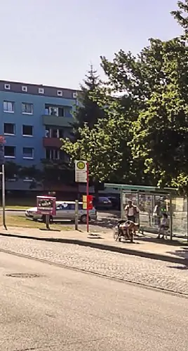 An einem sonnigen Tag warten Menschen an einer Bushaltestelle neben einer Glasüberdachung, mit einem blauen Wohnhaus und Bäumen im Hintergrund. Eine Person mit einem Fahrrad ist ebenfalls zu sehen.