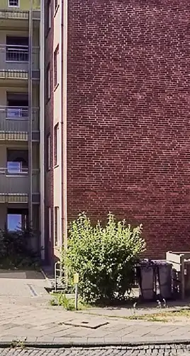 Ein Mehrfamilienhaus aus Backstein mit einer schlichten roten Wand auf der rechten Seite und Balkonen auf der linken Seite. Ein belaubter Strauch wächst neben mehreren Mülleimern auf dem Gehweg davor.
